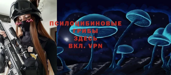 шишки Балабаново