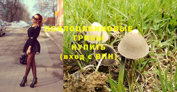 амф Баксан