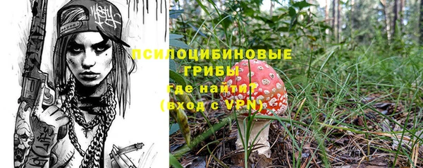 шишки Балабаново