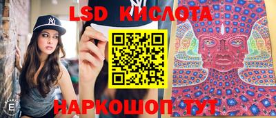 молекула духа Донской