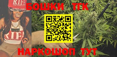МДПВ Дубна