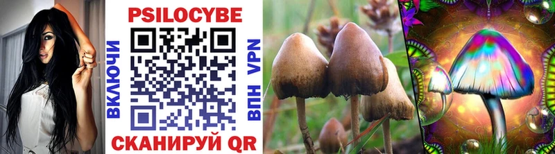 Галлюциногенные грибы GOLDEN TEACHER Вольск