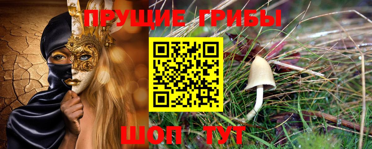 Псилоцибиновые грибы Cubensis  Галлюциногенные грибы MAGIC MUSHROOMS  Вход с VPN  Вольск 